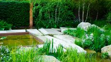 landscaped garden design with water features, rocks and planting, with hedge screening and multi-stem trees