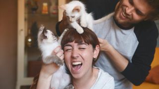 Couple laughing with their two kittens