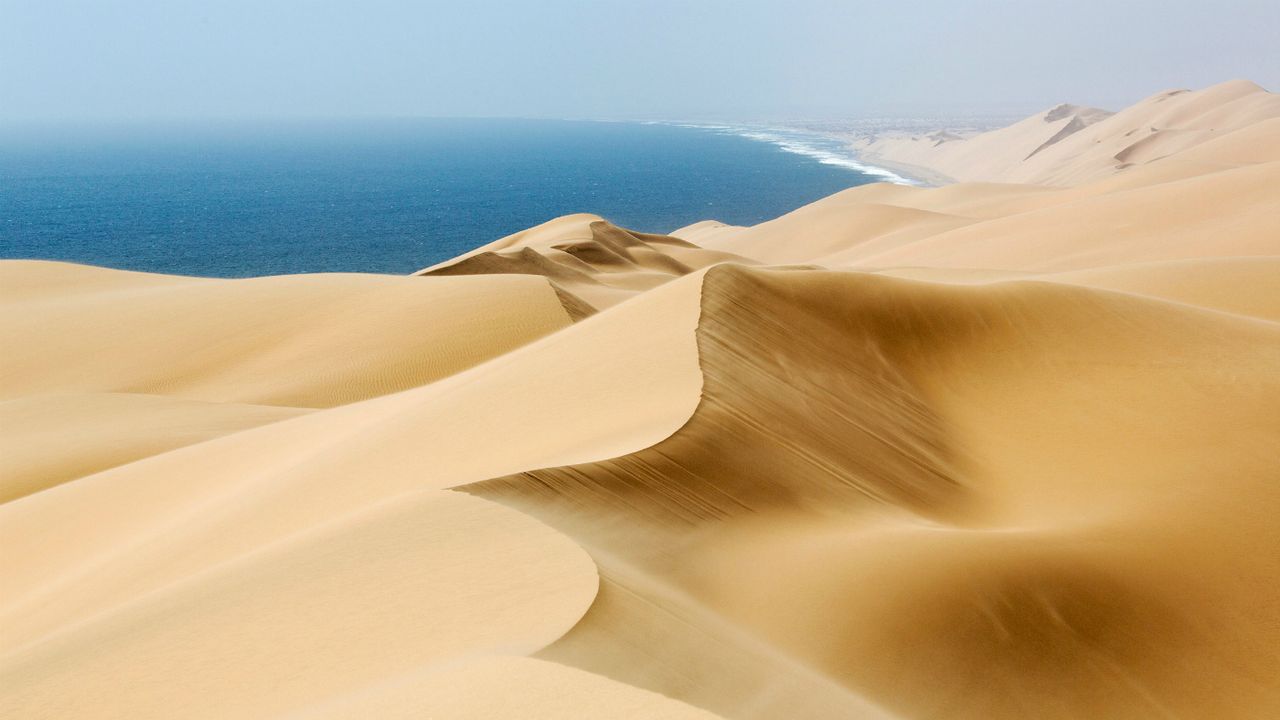 Wildlife Photographer of the Year winners