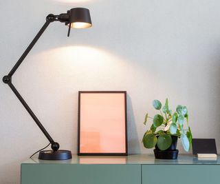 Stylish modern interior, empty picture frame with black lamp and green Chinese Money plant, retro pancake plant on green table