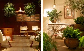 Mixing olive trees and a seamless mix of Scandinavian, English, Italian and Brazilian pieces from different modern eras