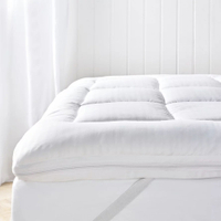 Ultrasoft Dual Layer Topper