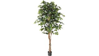 Nearly Natural 6-foot artificial ficus tree