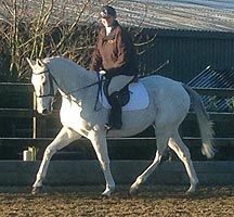 Neptune-Collonges-dressage.jpg