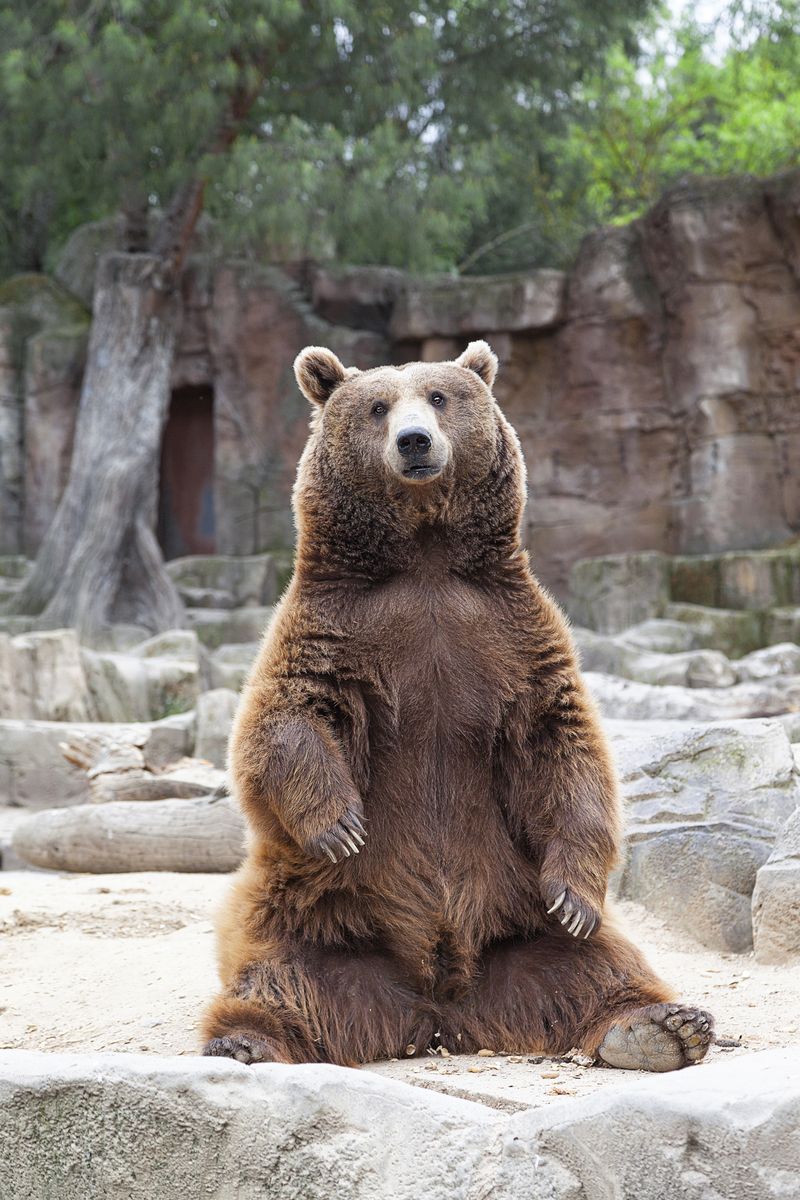 Go to the Zoo or Aquarium