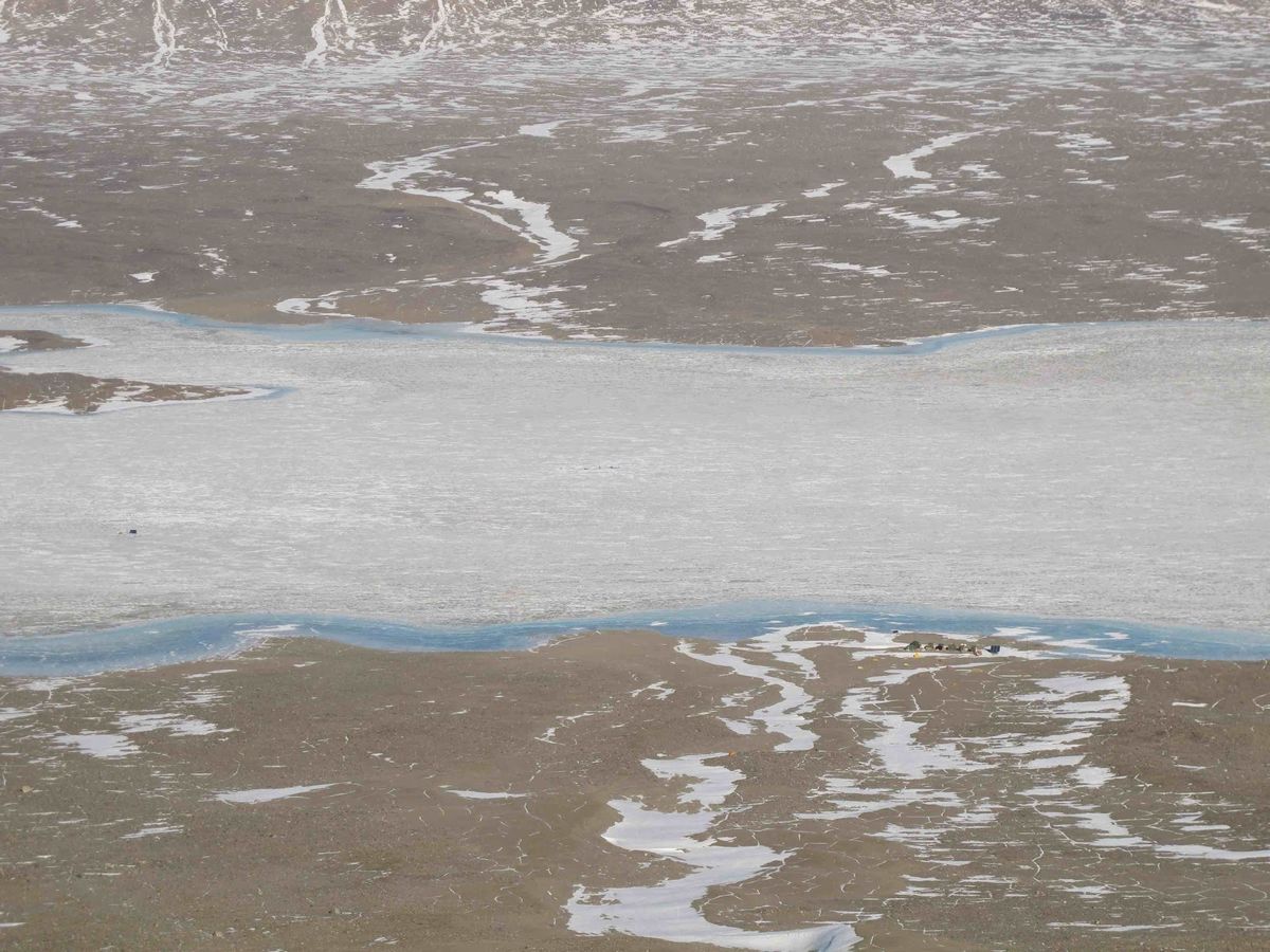 A view of Lake Fryxell in the McMurdo Dry Valleys of Antarctica.