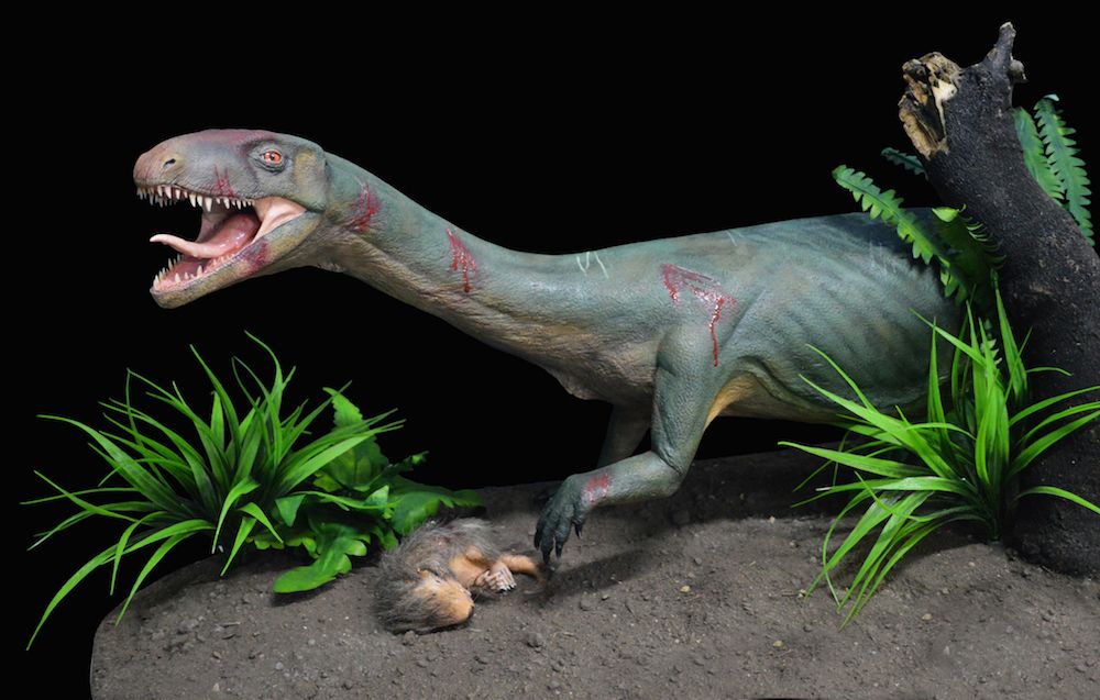 early dinosaur cousin