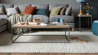 grey living room with sofa and neutral rug with coffee table