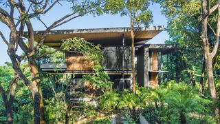 house engulfed in foliage in costa rica