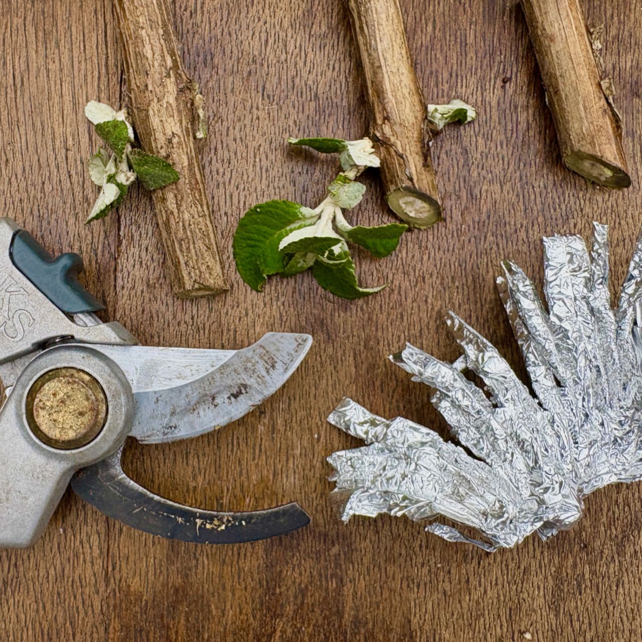 sharpen hand pruners tin foil sharpening trick