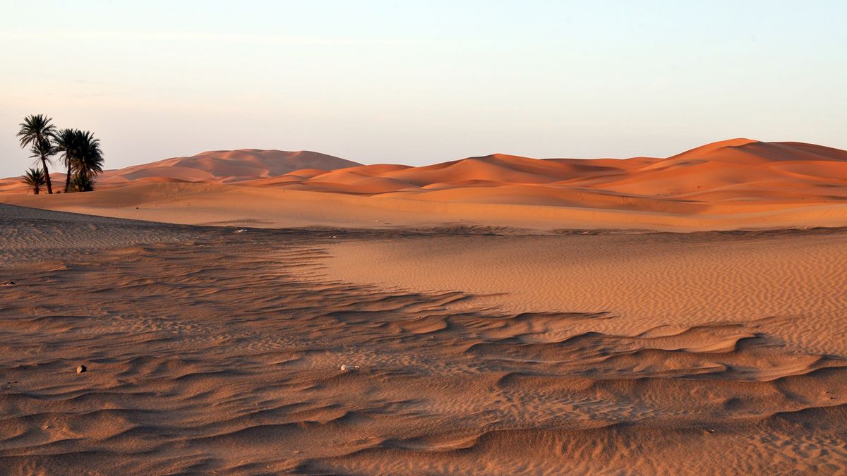 sahara desert climate night