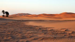 The Sahara is the world's largest hot desert.