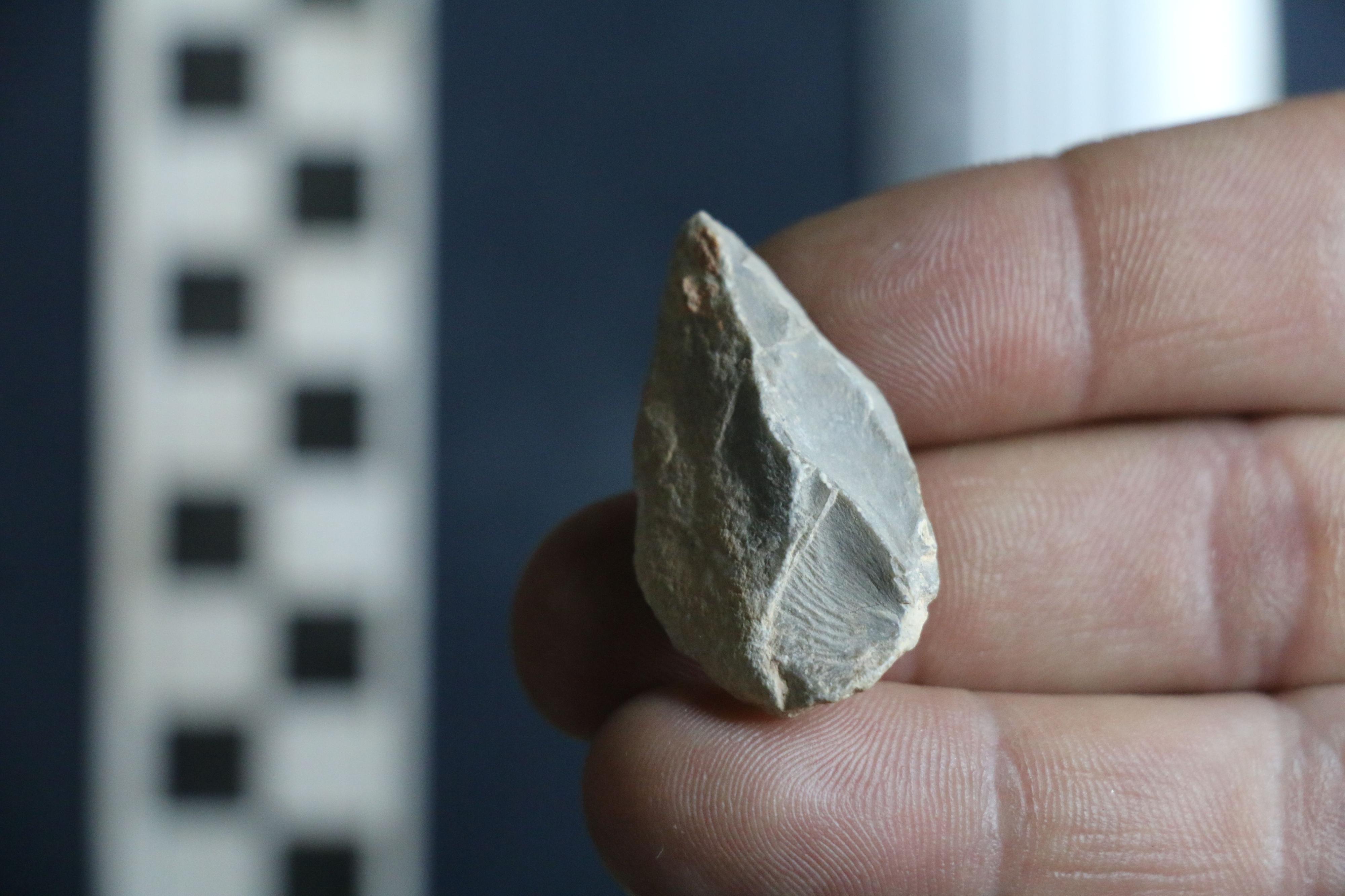 Archaeologists found what appear to be human-made stone tools dating to the Last Glacial Maximum (LGM) layer of the cave.