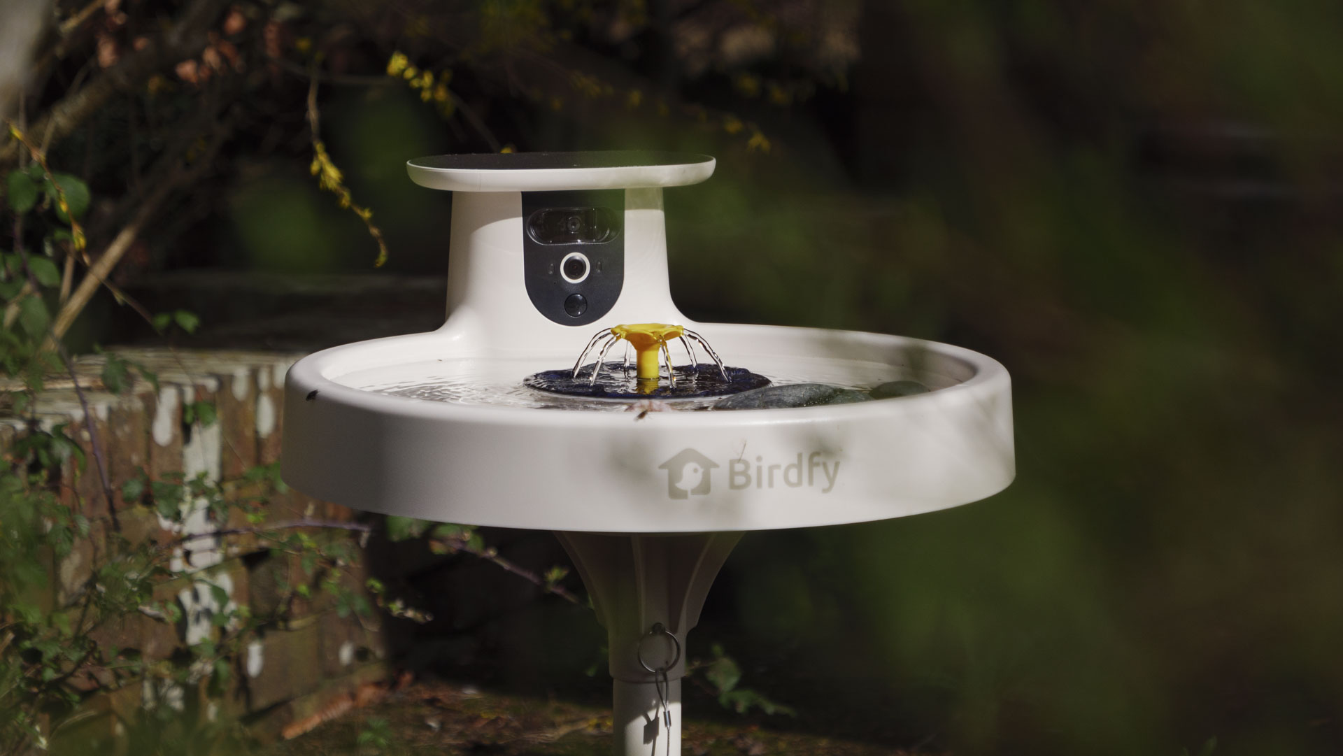 Birdfy Bird Bath Pro camera in a garden with fountain
