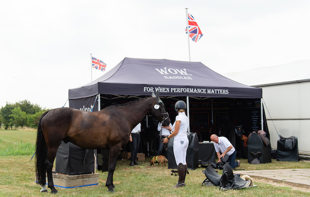H&amp;amp;H festival of dressage championships sheepgate 21 07 2018