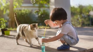 Little boy blowing bubbles in the garden with his cat