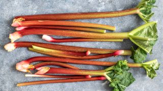 Foods you should never put in a juicer: rhubarb
