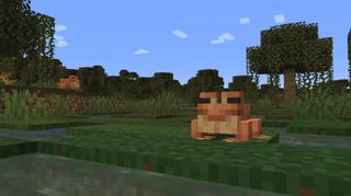 Screenshot of the Minecraft 1.19 "The Wild Update" announcement, featuring a frog.
