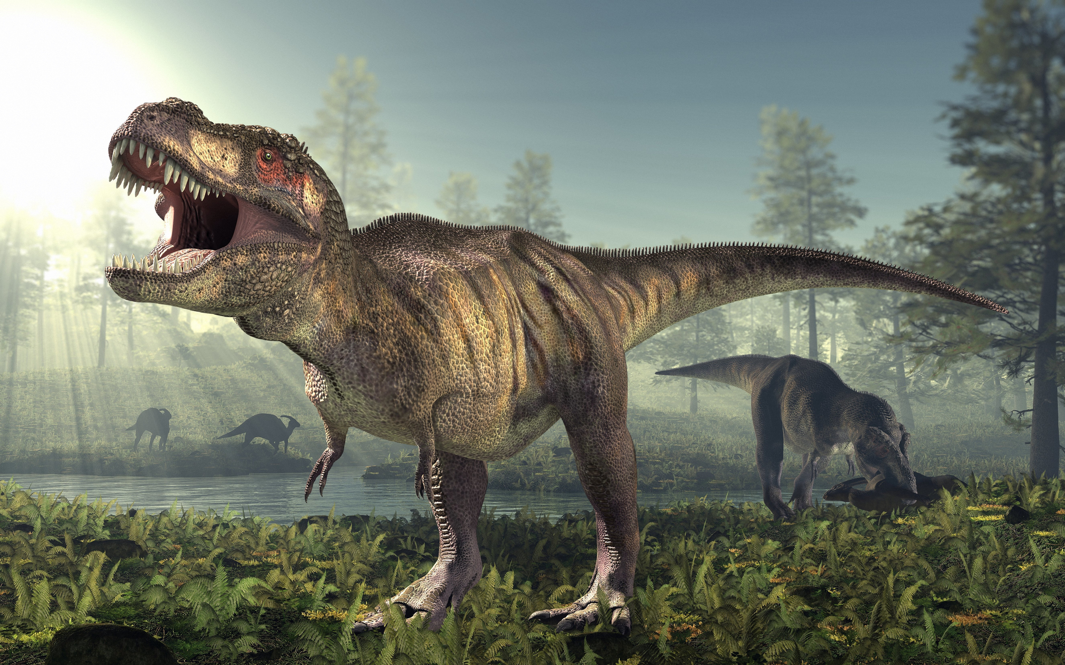 A T-Rex in a forest setting