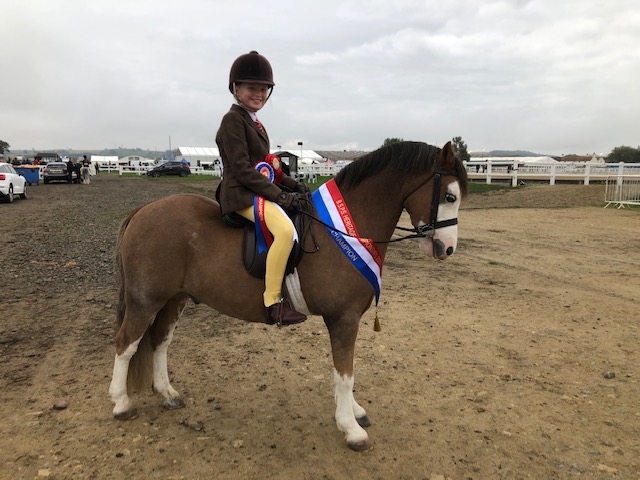 Holly Dilks is Royal International-bound with her first ridden pony Rookery Boomerang