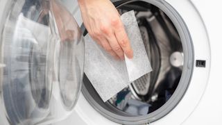 person putting a dryer sheet into a washing machine