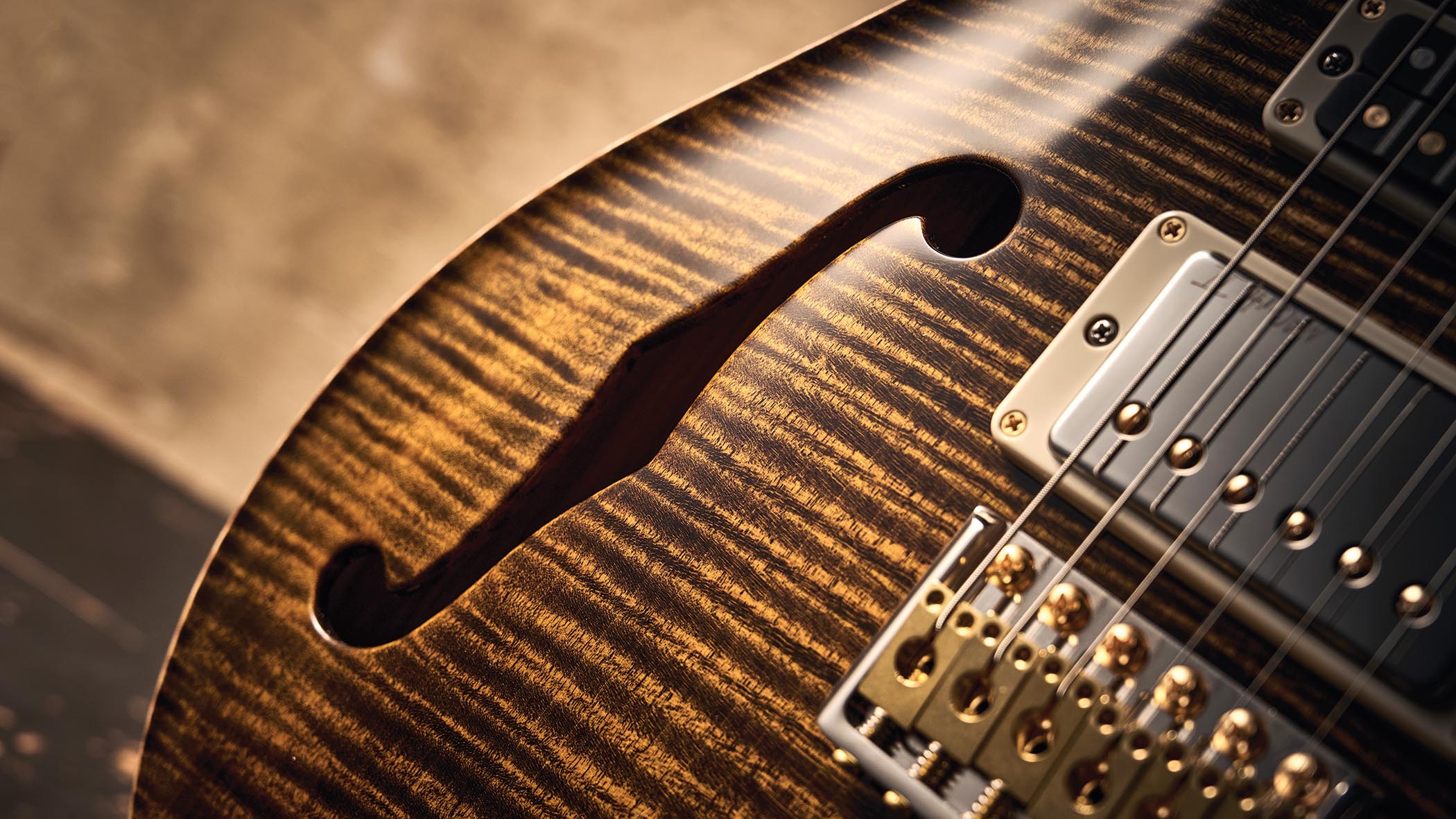 PRS 40th Anniversary Special Semi-Hollow Limited Edition