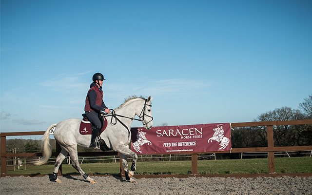 canter-image.jpg