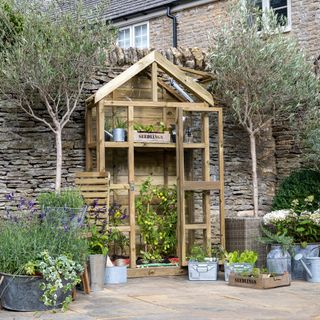 Mini wooden greenhouse
