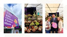composite of chelsea flower show, cacti stand and grand pavillion