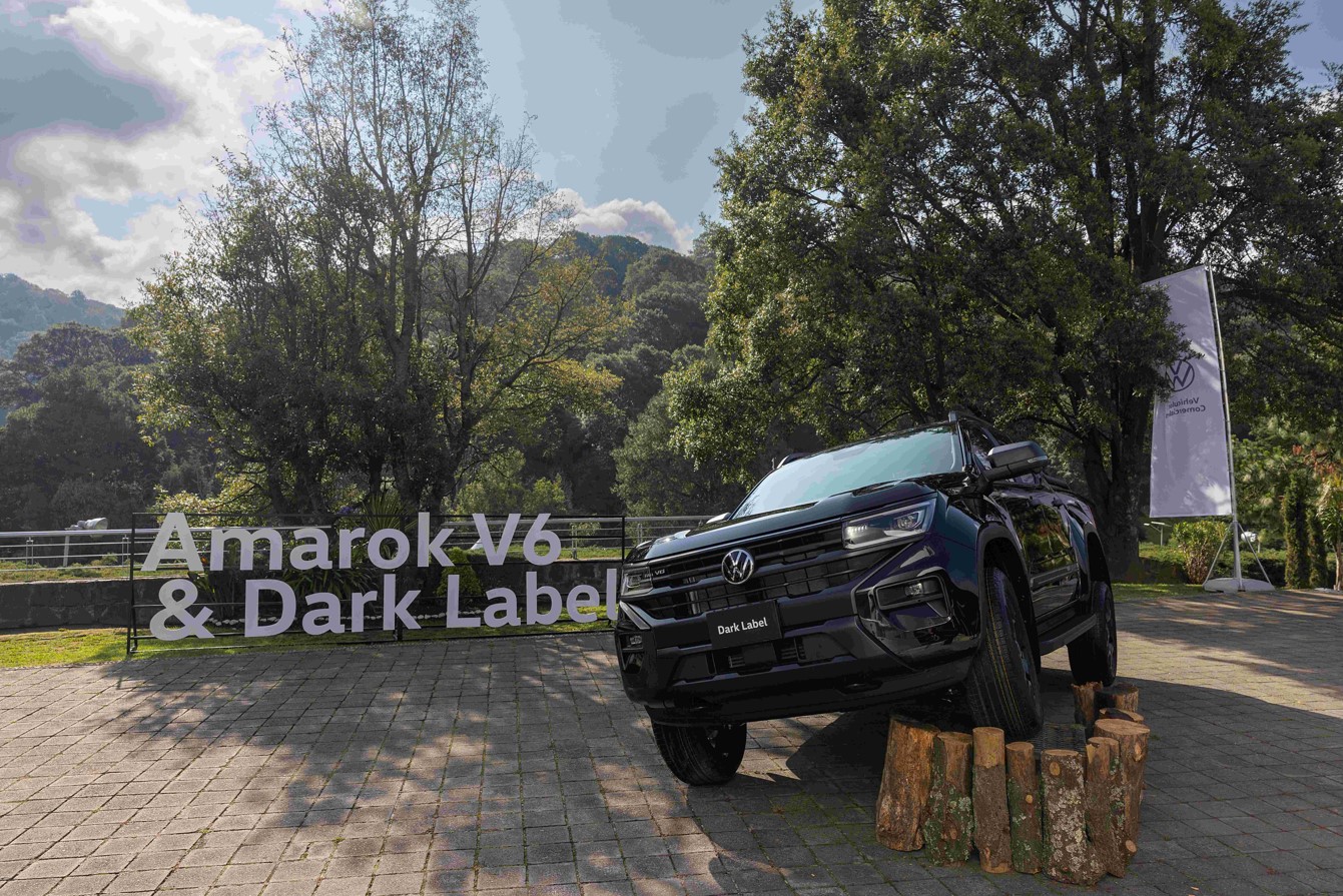 Volkswagen Amarok V6