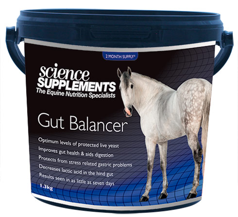 SS-GutBalancer
