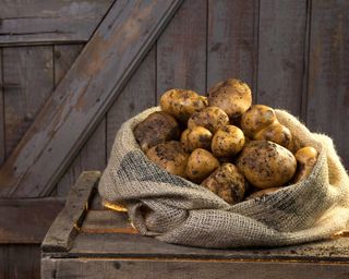 potatoes in sack