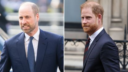 Composite of a picture of Prince William in March 2026 and a picture of Prince Harry in January 2026