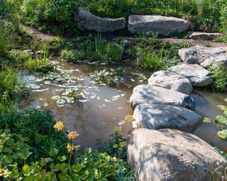 wildlife pond in Countryfile’s 30th Anniversary Garden. Designed by: Ann-Marie Powell. Feature Garden. RHS Hampton Court Palace Flower Show 2018