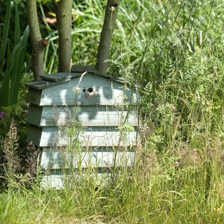 a beehive shaped compost bin hidden in some wild grasses