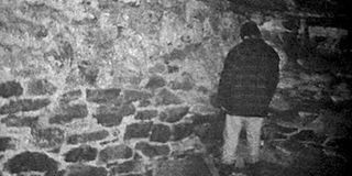 The Blair Witch Project