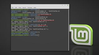 How To Delete A File in Linux Mint's Command Line Interface