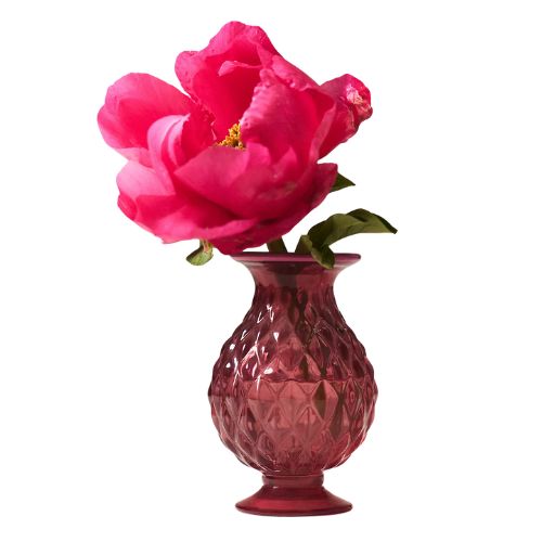 AnthroHome, Maeve Glass Bud Vase