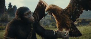 Noa (played by Owen Teague) with an eagle in Kingdom Of The Planet Of The Apes