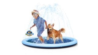 VISTOP Non-Slip swimming pool for dogs