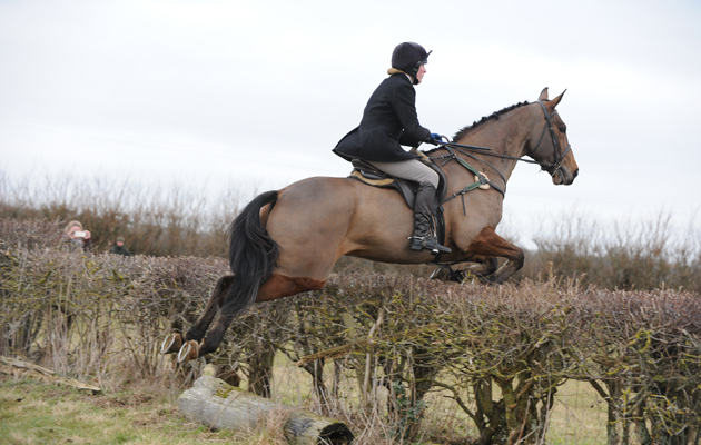 Old Berks Hunt 07.02.15