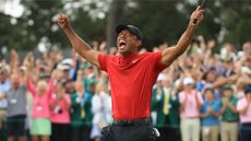 Tiger Woods, arguably the greatest golfer of all time, holds countless records