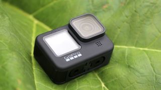 GoPro Hero 9 Black on a leaf