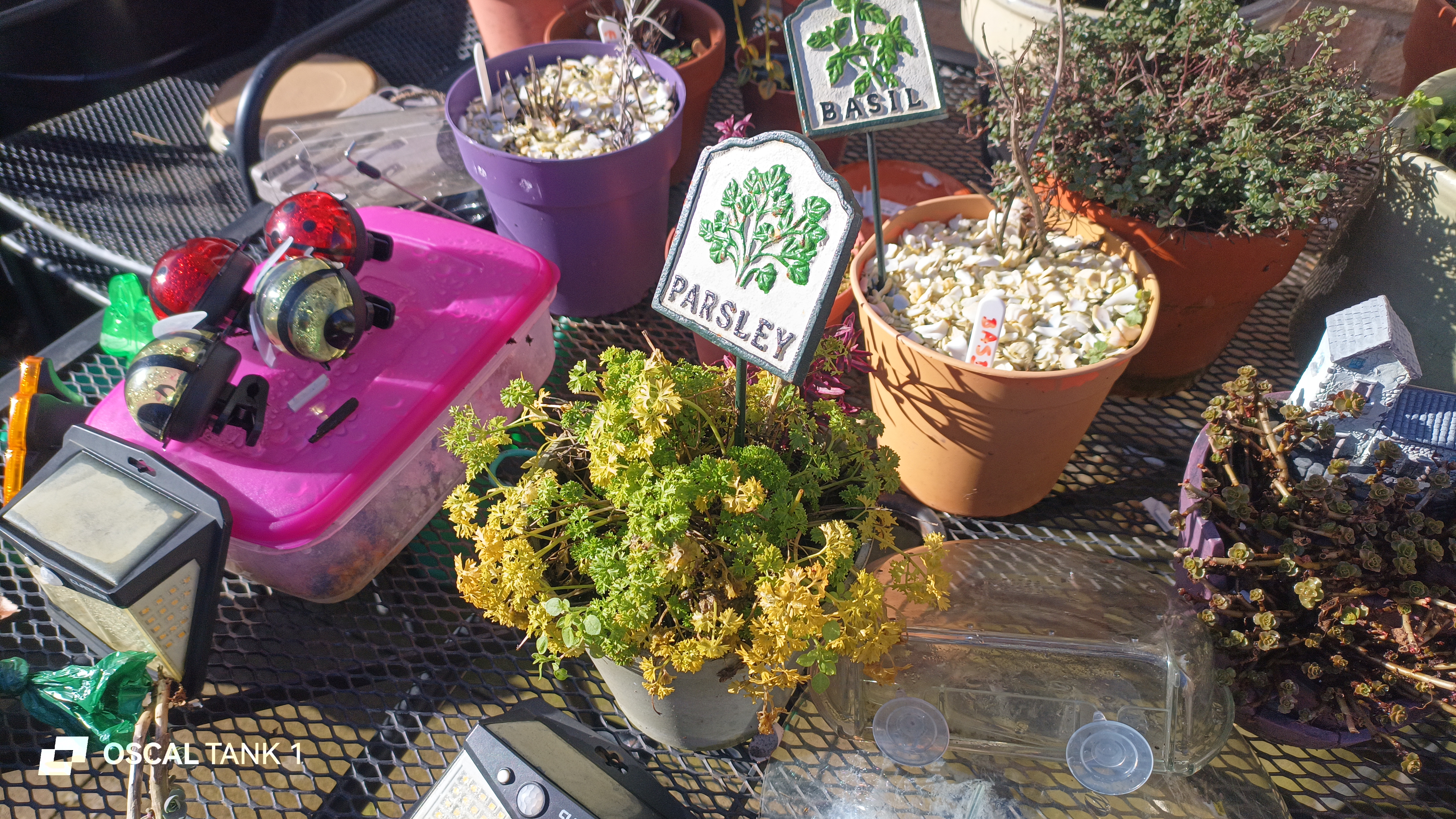 Blackview Oscal TANK 1 example pictures