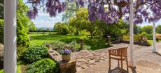 House with great view and wisteria