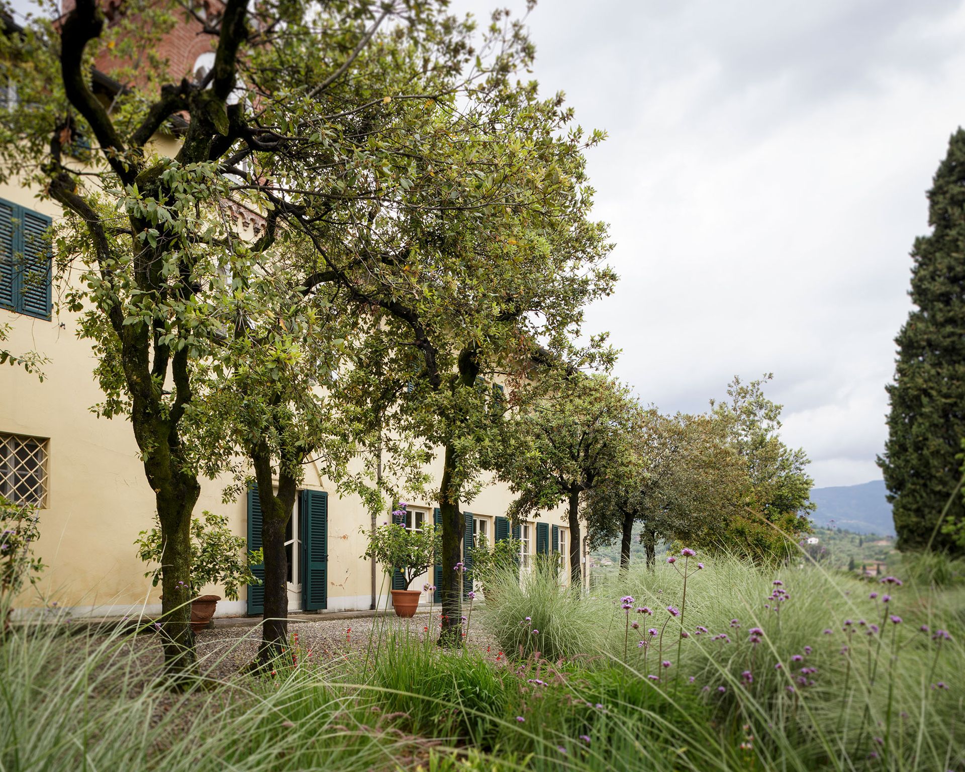 An example of how to grow ornamental grasses showing a garden with trees and wild flowers