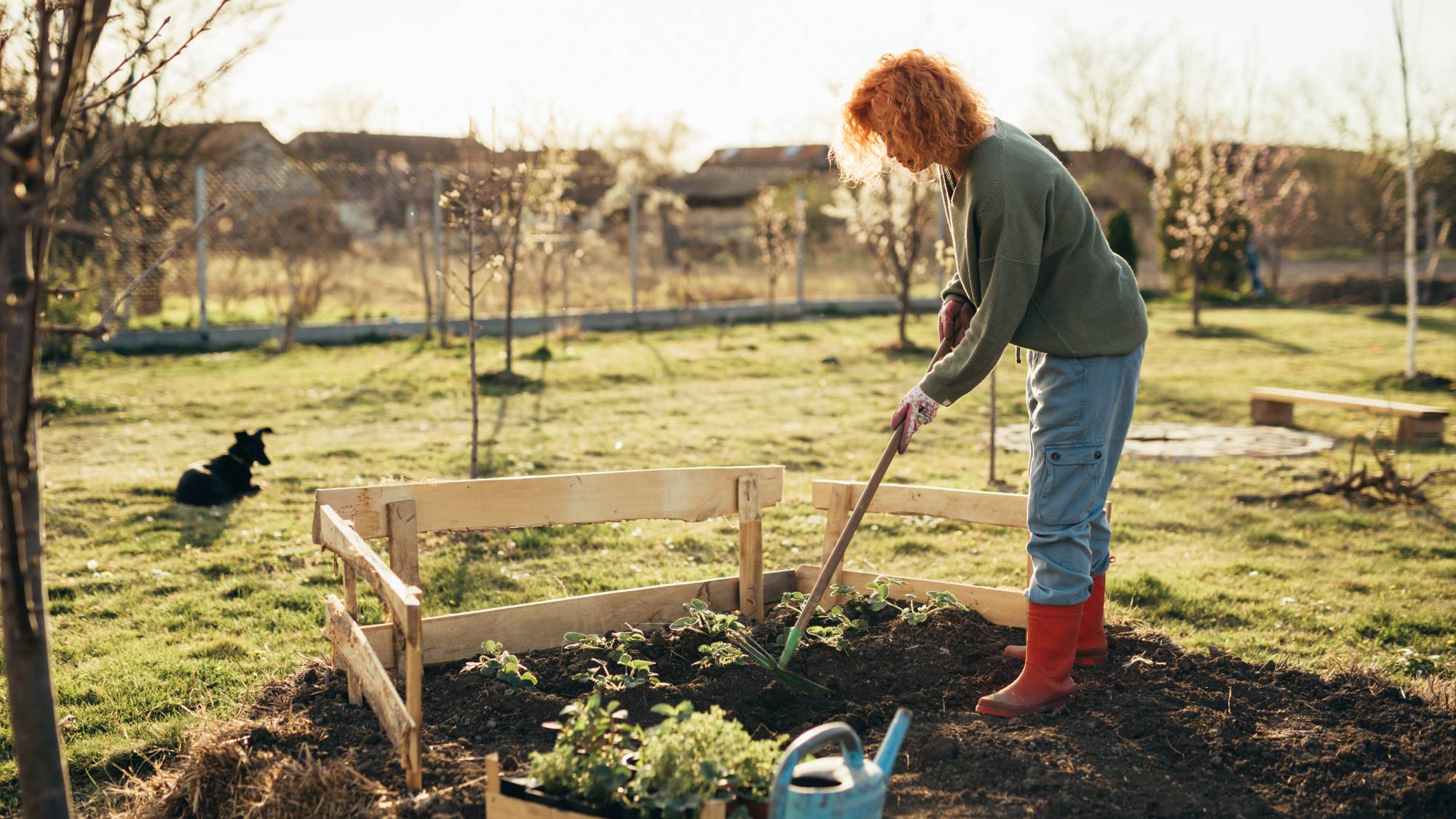 Woman works the soil in her garden
