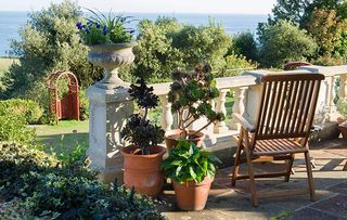 Pots on a terrace at The Shute, Ventnor, Isle of Wight