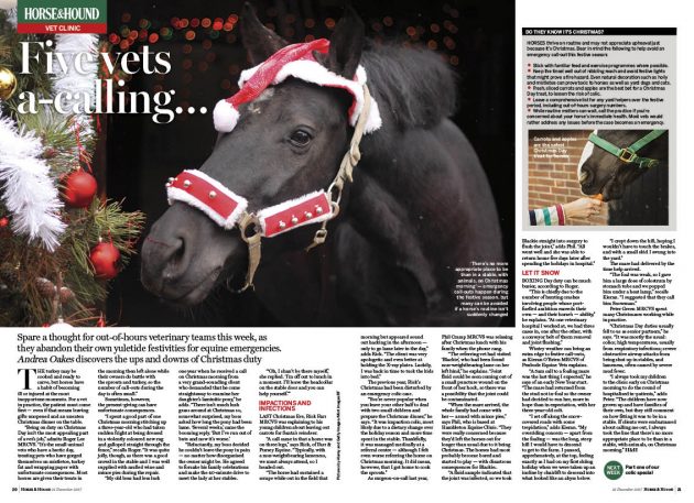 VET-2pp-21-12-Christmas-call-o-e1513684095819.jpg