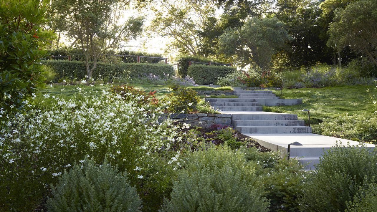 Modern landscaping with sloping garden